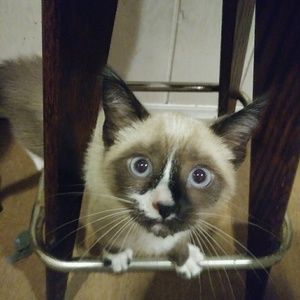 Meet your Posher, Debra